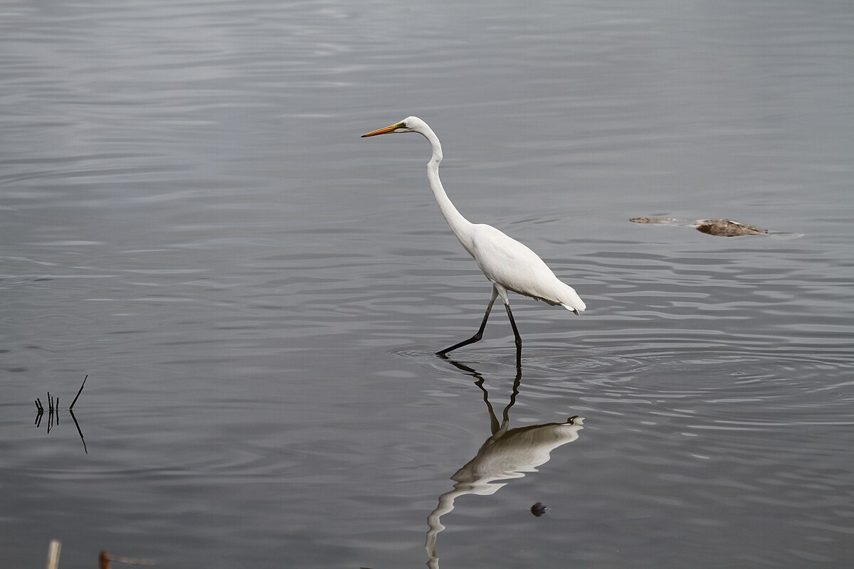 Фото с сайта: https://www.hisour.com/data/tasitolu/