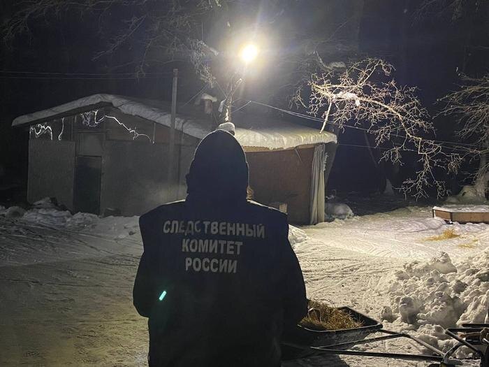 Обложка © СУ СК России по Саратовской области.