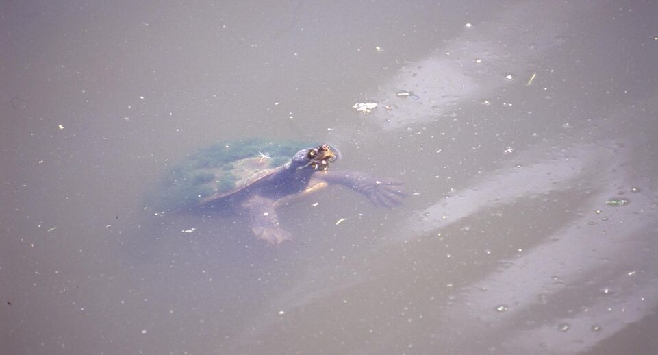    Andrei Kamenev/Russian Look / www.globallookpress.com