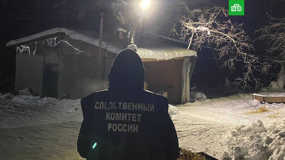    Фото: su_skr64 / t.me