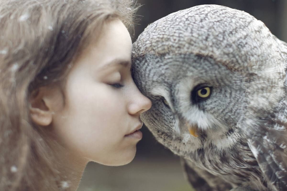 Фото с сайта: https://ru.pinterest.com/gentlehorsewoman/spirit/