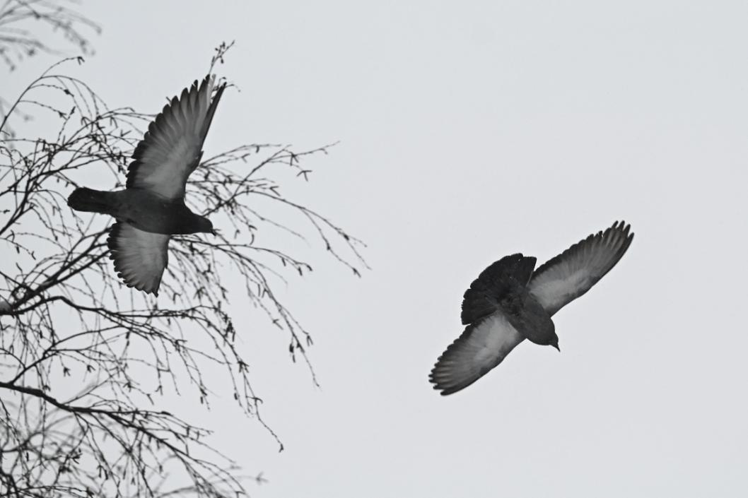 Фото: Сергей Елесин, ИА "Тюменская линия"