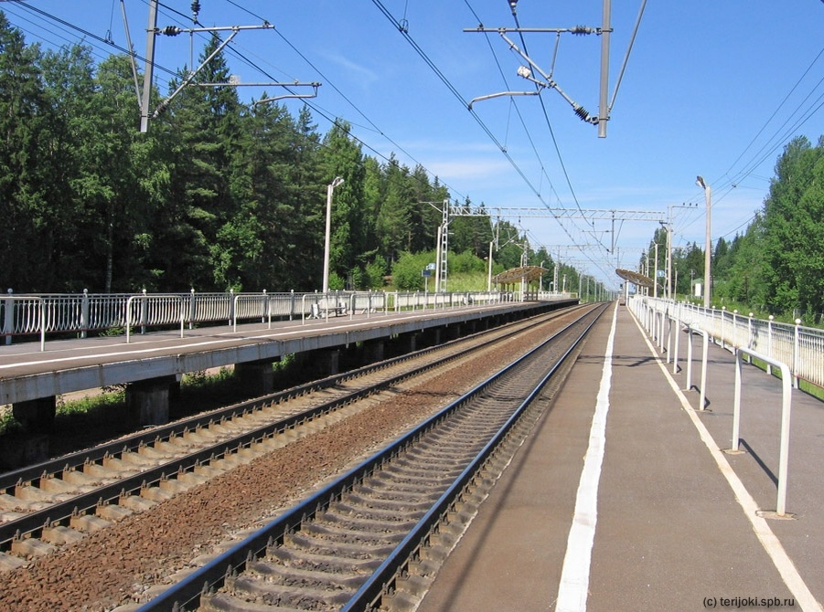 Остановочный пункт 117 км. Общий вид. Фото: Шефер В.Д., 04.07.2015 г.