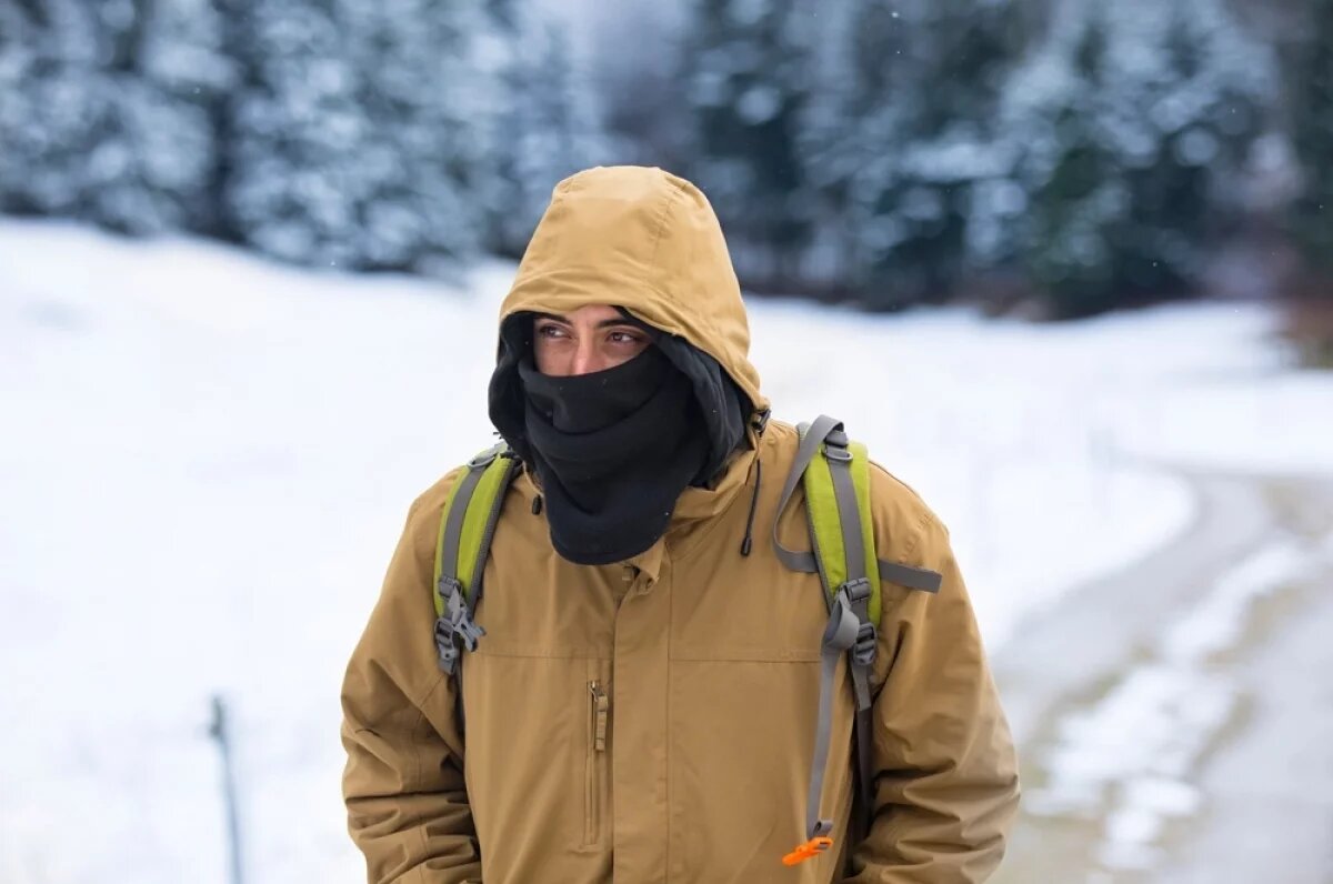    Немцев предупредили об аномальных морозах до конца февраля