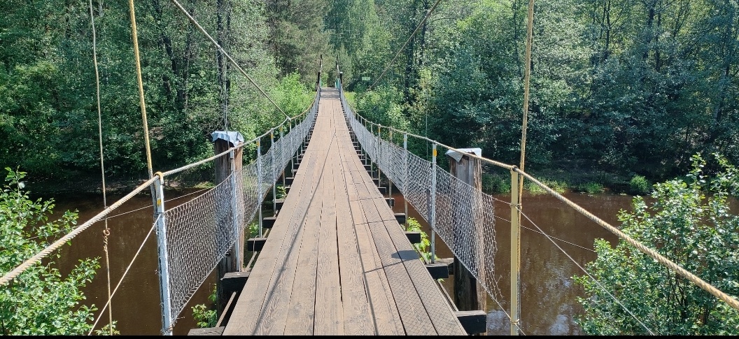 Куда ты, тропинка, меня привела. Фото автора.