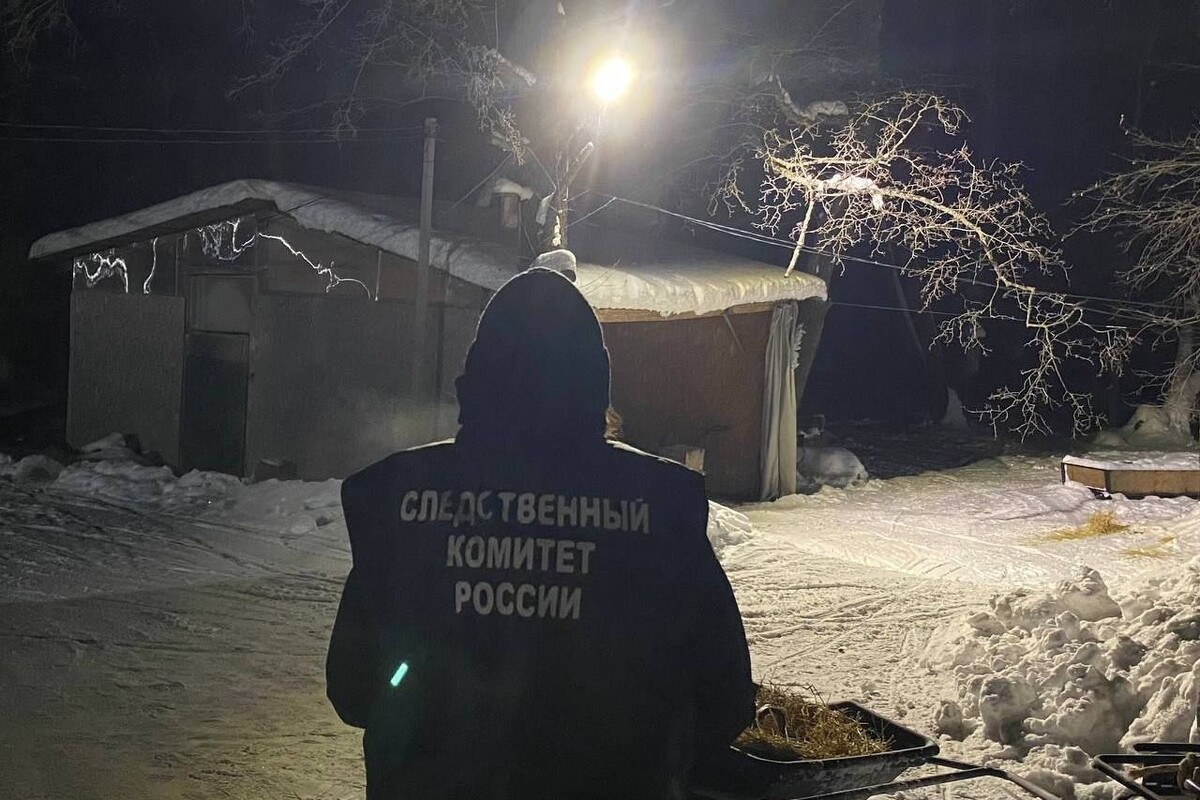     / Источник: © СУ СК России по Саратовской области