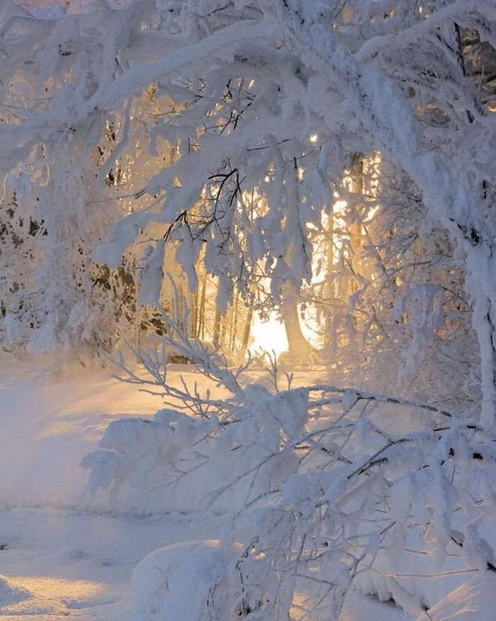 На морозе очень красиво!