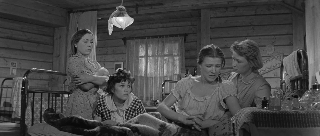 Фильм «Девчата»… Про трудовой энтузиазм, любовь и манипуляции?