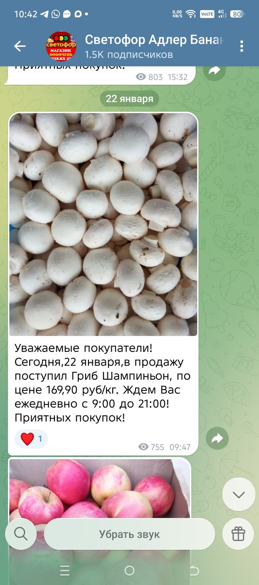 Адлер, январь 2026 года