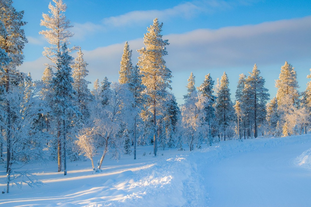    Фото: iStock/ y_carfan