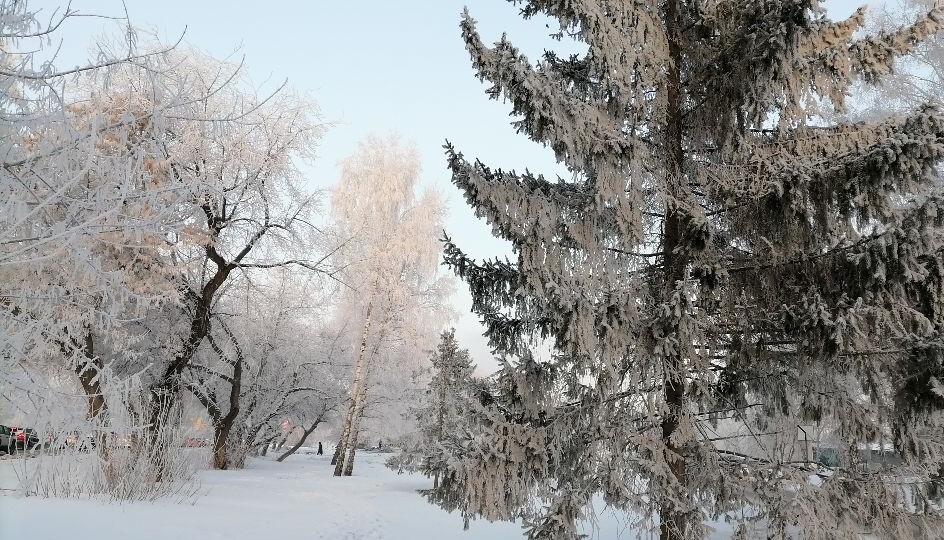 Куда жаловаться в случае каких-либо проблем – теперь буду знать! Мой рекорд - 5,5 км пешком в мороз -35!