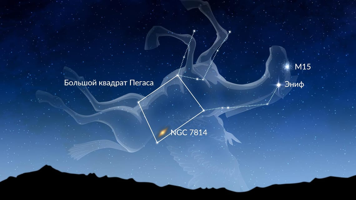 Созвездие Пегаса. Изображается в виде передней части туловища крылатого коня. Согласно греческой мифологии, Пегас родился из крови Медузы Горгоны, когда Персей отрубил ей голову.