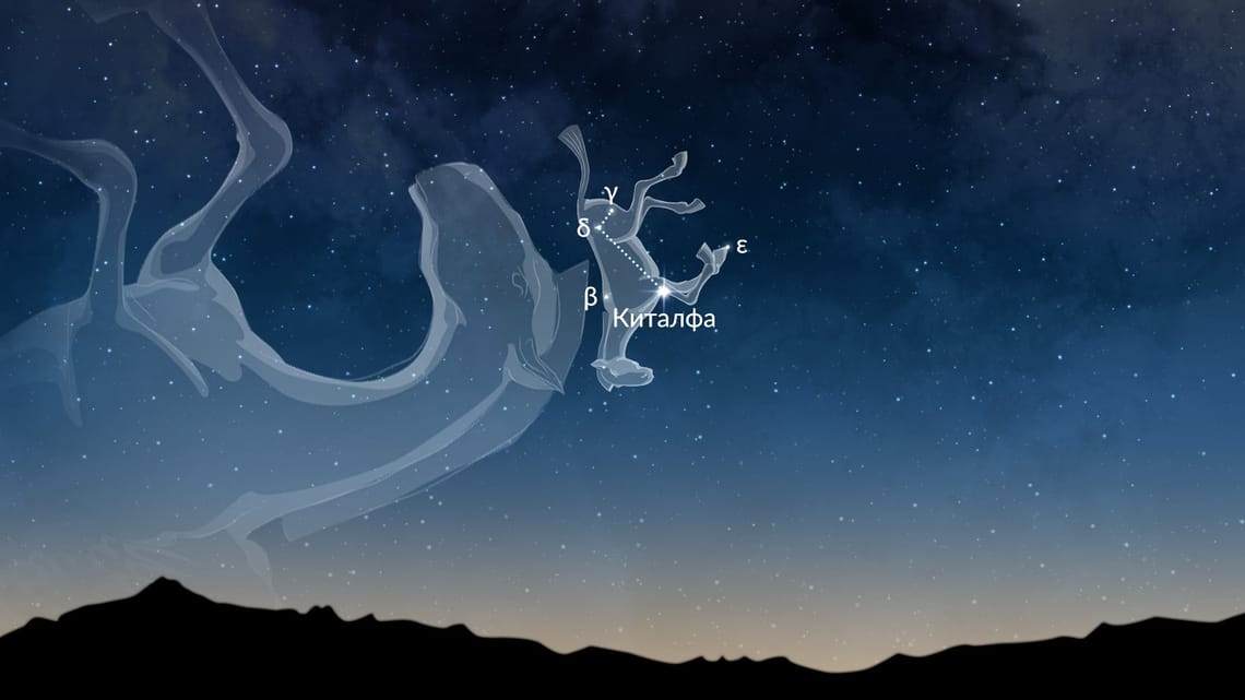 В греческой мифологии Малого Коня часто отождествляют с Келерисом — братом или спутником Пегаса. Его подарил Меркурий Кастору (или, по другим версиям, Поллуксу), и считалось, что он настолько быстр, что мог бежать по морю, не намочив копыт.