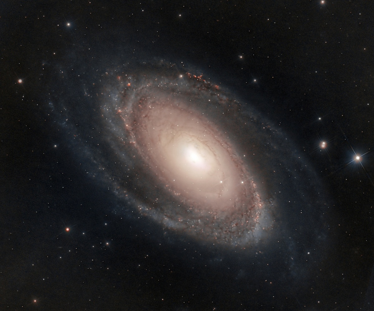 Галактика М 81 в Большой Медведице осенью 2025 года, фото Мэтью Террелла