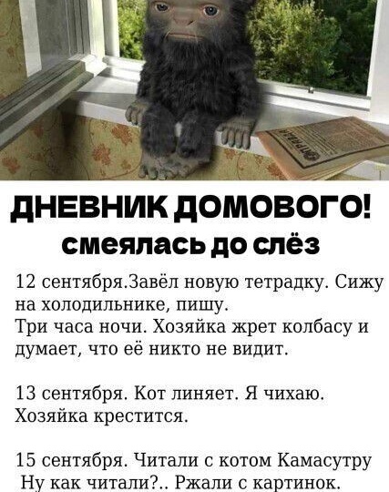 Дневник домового (смешно)