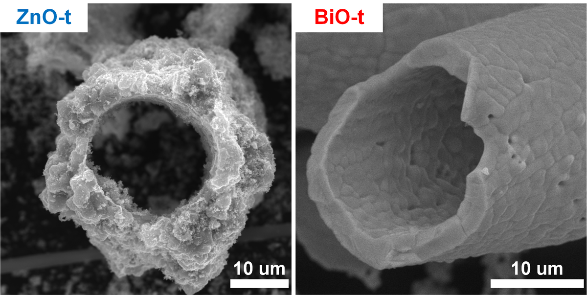 Рисунок 1 – СЭМ изображения микротрубок ZnO-t и BiO-t