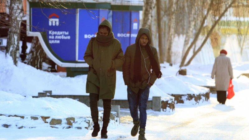     Мороз. Зима. Анна Зайкова, altapress.ru.