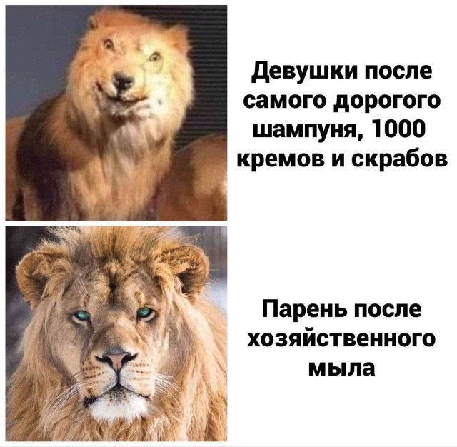 Смех из социальных сетей! Забавные шутки, забавные случаи и веселые рассказы. Фото взято из общедоступных ресурсов соцсетей.