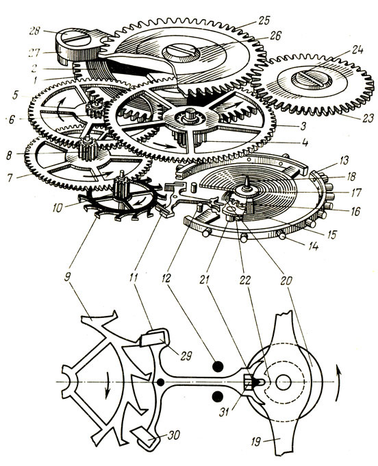 Схема механизма наручных часов (внизу помещена схема анкерного хода в увеличенном масштабе): 1 - пружинный двигатель; 2 - заводная пружина; 3 - центральное колесо; 4 - триб центрального колеса; 5 - промежуточное колесо; 6 - триб промежуточного колеса; 7 - секундное колесо; 8 - триб секундного колеса; 9 - анкерное колесо; 10 - триб анкерного колеса; 11 - анкерная вилка; 12 - ограничительные штифты; 13 - баланс; 14 - регулировочные винты; 15 - волосок; 16 - колонка; 17 - колодка; 18 - ось баланса; 19 - двойной ролик; 20 - верхняя ролька; 21 - импульсный камень (эллипс); 22 - нижняя ролька; 23 - коронное колесо; 24 - винт коронного колеса; 25 - барабанное колесо; 26 - винт барабанного колеса; 27 - собачка; 28 - винт собачки; 29 и 30 - палеты входная и выходная; 31 - копье