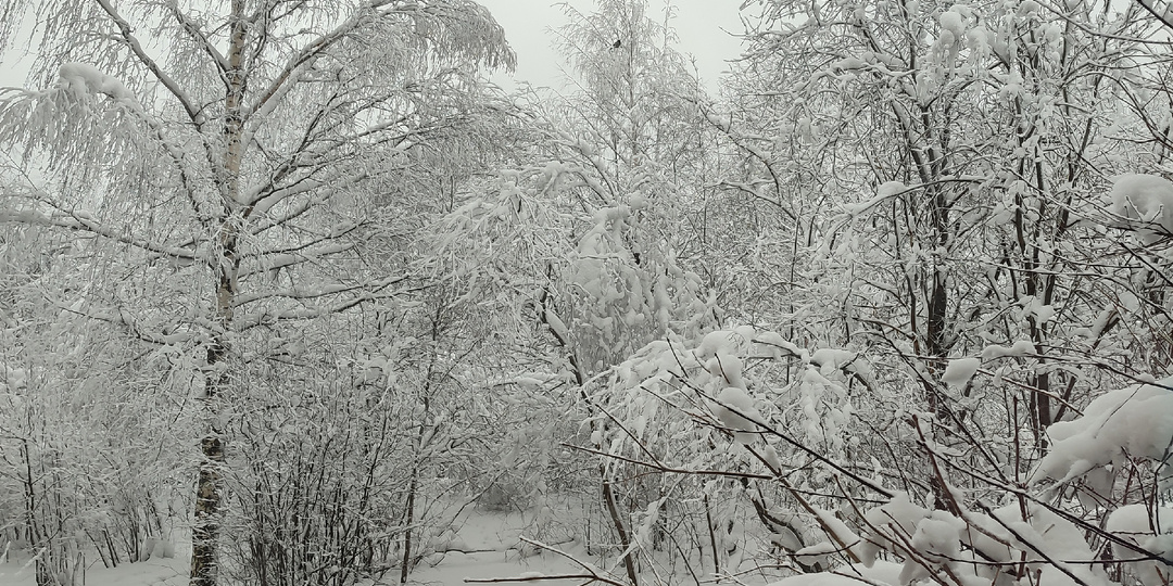 Поговорим о СЧАСТЬЕ