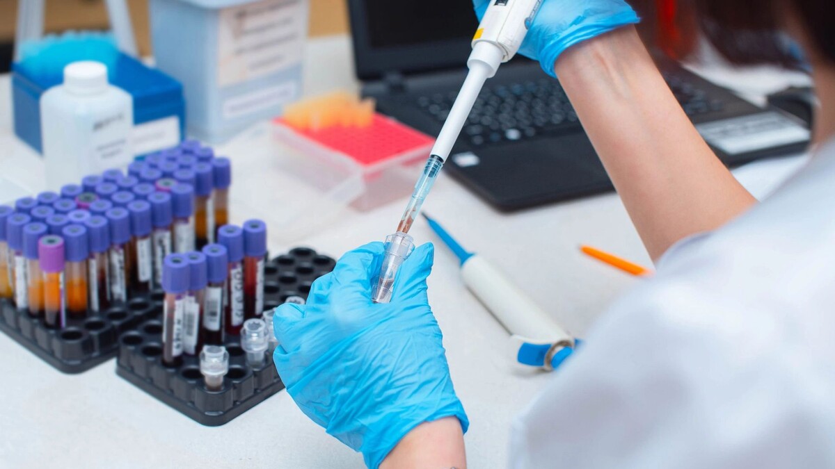    Фото: Salov Evgeniy / Shutterstock / Fotodom