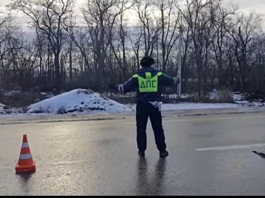    ДПС // Фото ГУ МВД по Ростовской области