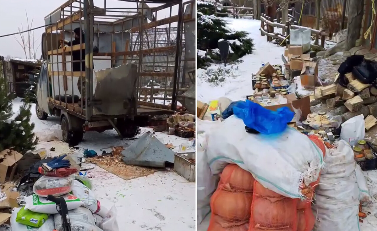    Скриншот: Официальный Телеграм-канал главы Васильевского округа Натальи Романиченко