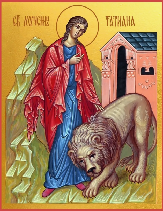 фото из открытых источников