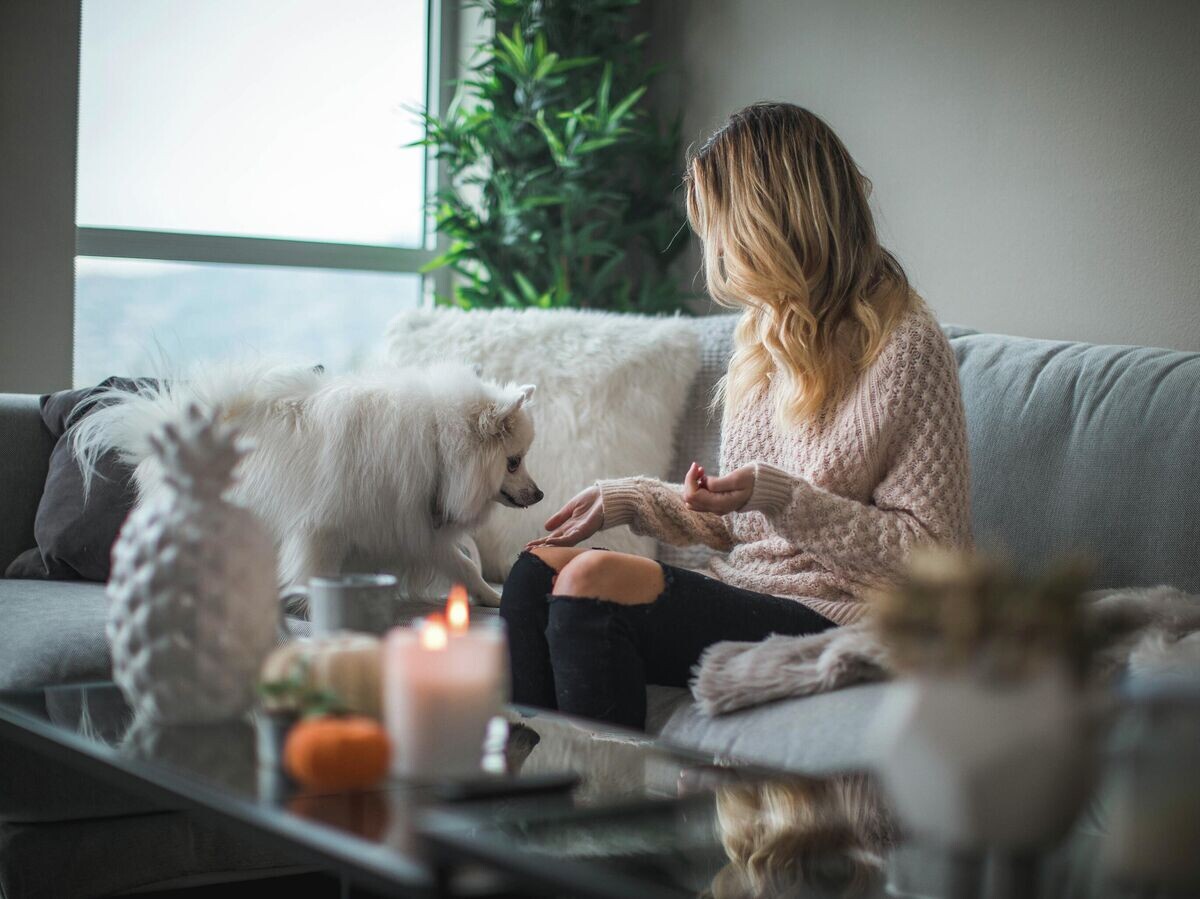    Девушка с собакой в комнате | © Фото : Unsplash / Roberto Nickson