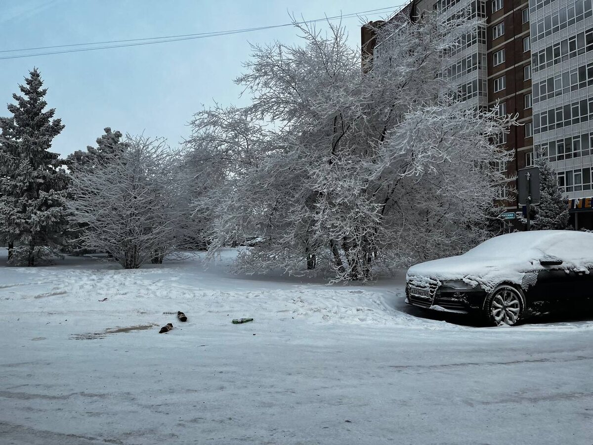 Иней на деревьях. Спасибо морозу