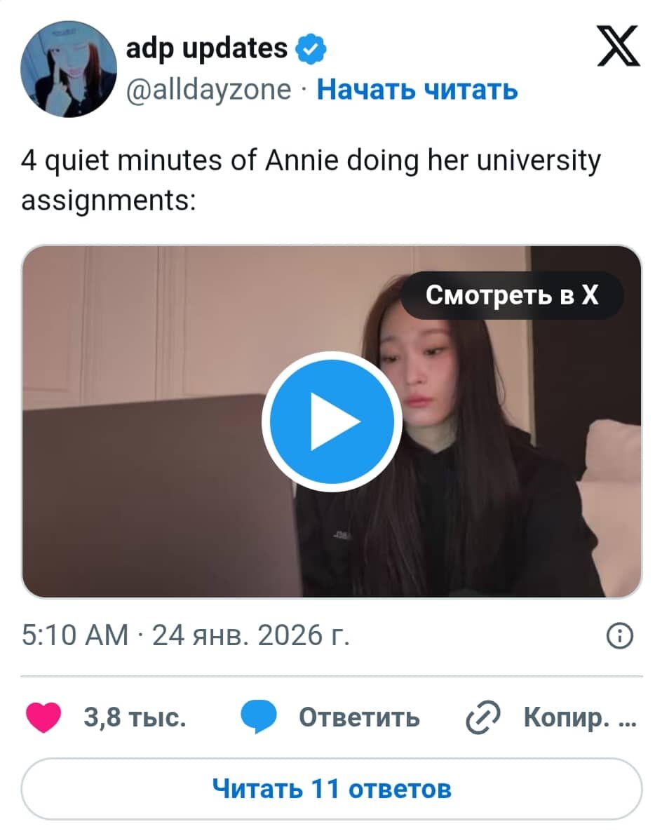 4 тихих минутки с Энни, делающей свои универские задания  📷
