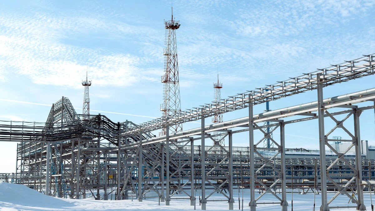    Фото: Юлия Чудинова / «Ямал-Медиа»