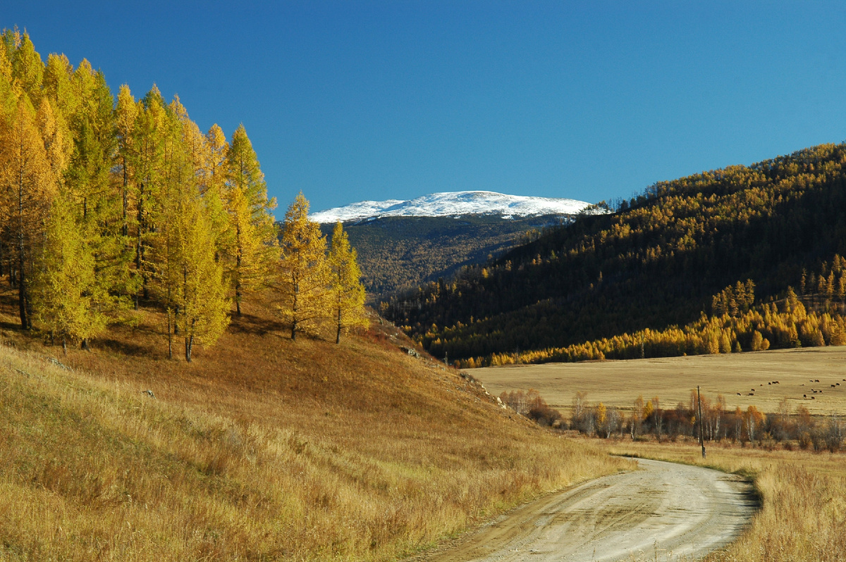 Фото Ольга Шадрина