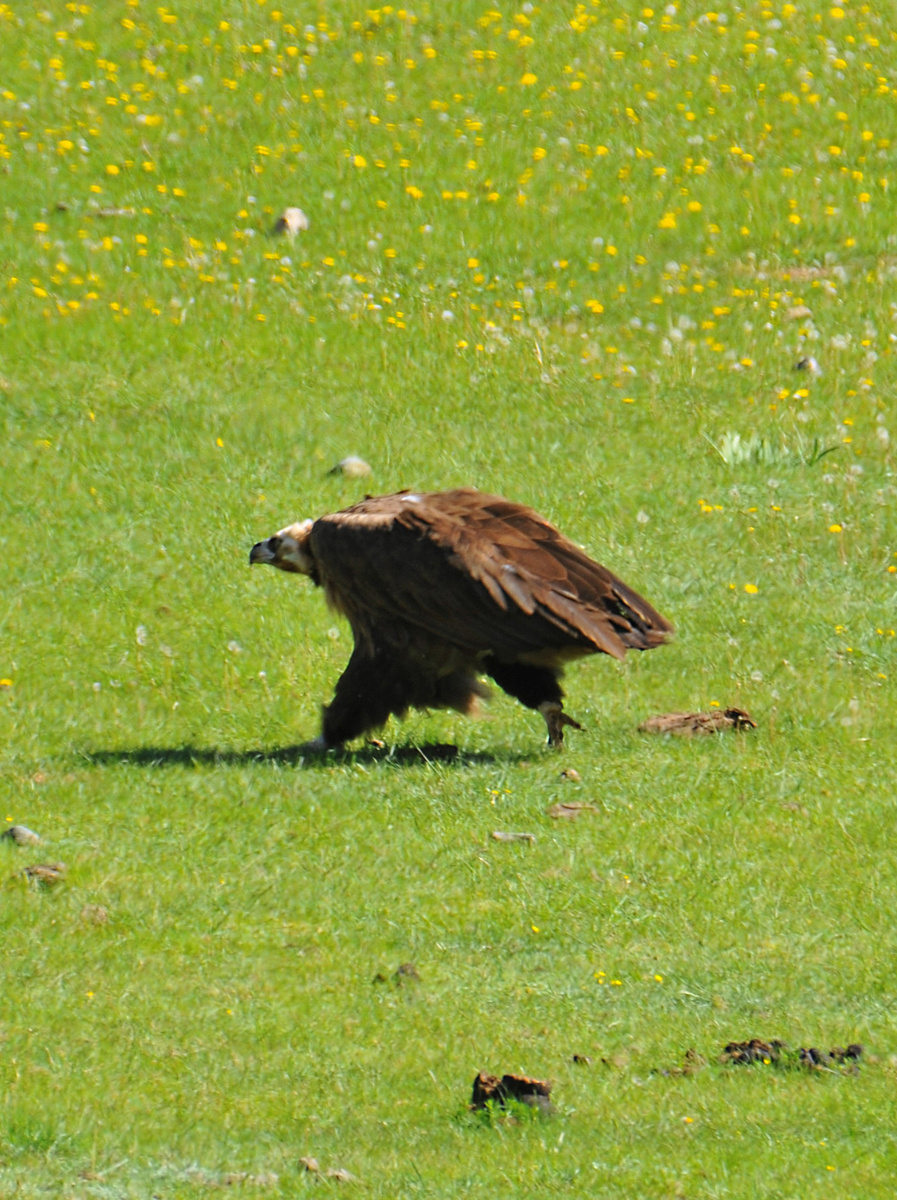 Фото Ольга Шадрина 