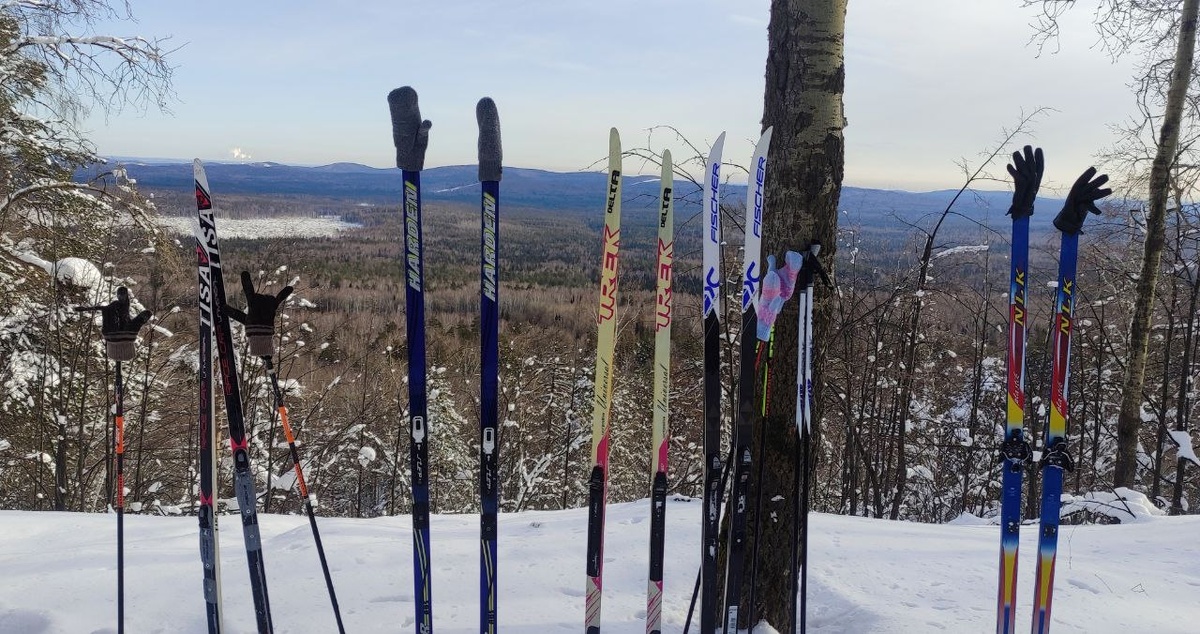 Лыжи - TISA, CRUISER HARDEN, TREK Delta, FISCHER, NLK. 2024 год