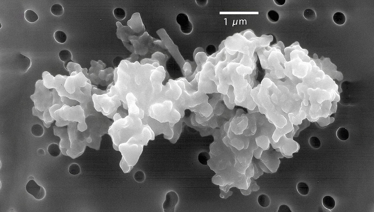     Фото: Wikipedia.org Космическая пыль под микроскопом
