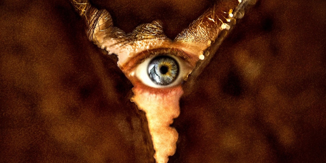 ТОП-15 сериалов и фильмов января, которые уже можно посмотреть!