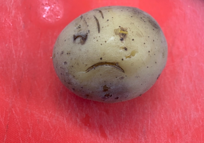 Специально для вас нашел грустную картошку