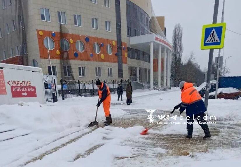     Фото: t.me/beladm31