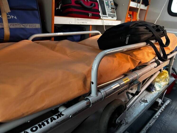     Фото иллюстративное Источник: МК на Алтае/Оксана Исакова