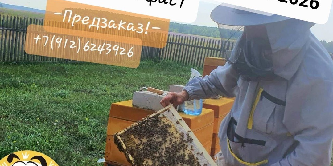 🐝 Принимаются заказы за ранее на ПЧЕЛАПАКЕТЫ на новый сезон: Карпатка / Карника / Бакфаст