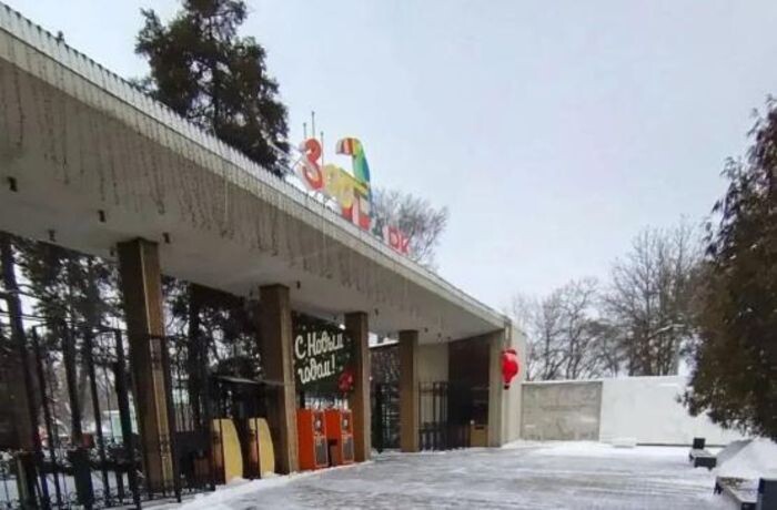 Иллюстрация: пресс-службы ростовского зоопарка