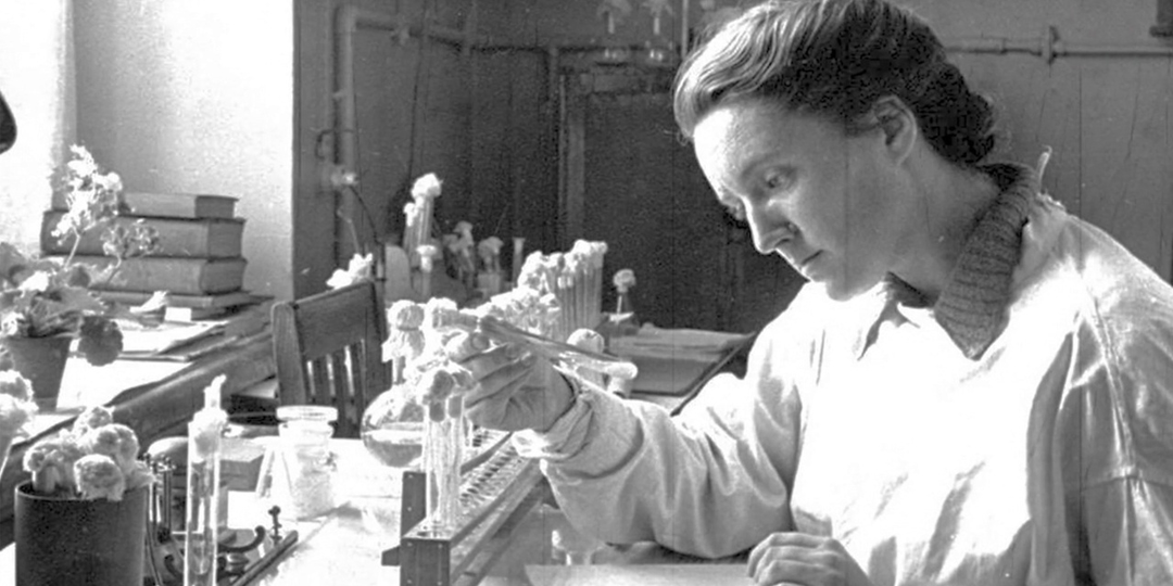 Наука в окопах