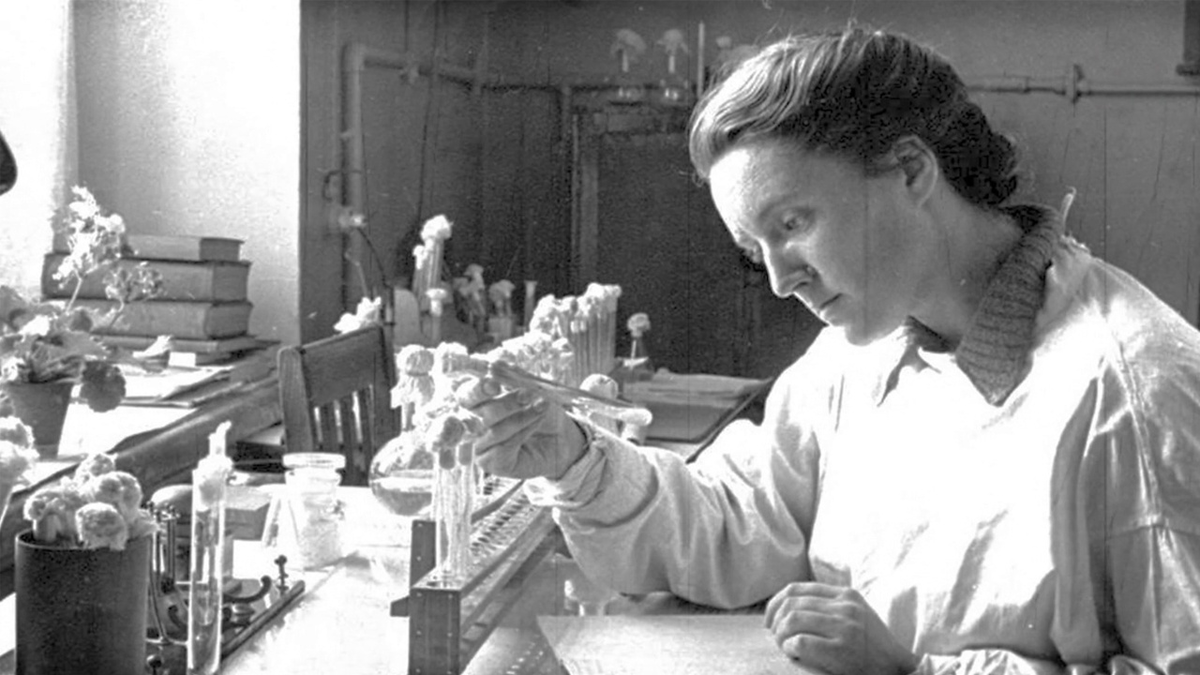 Зинаида Виссарионовна Ермольева