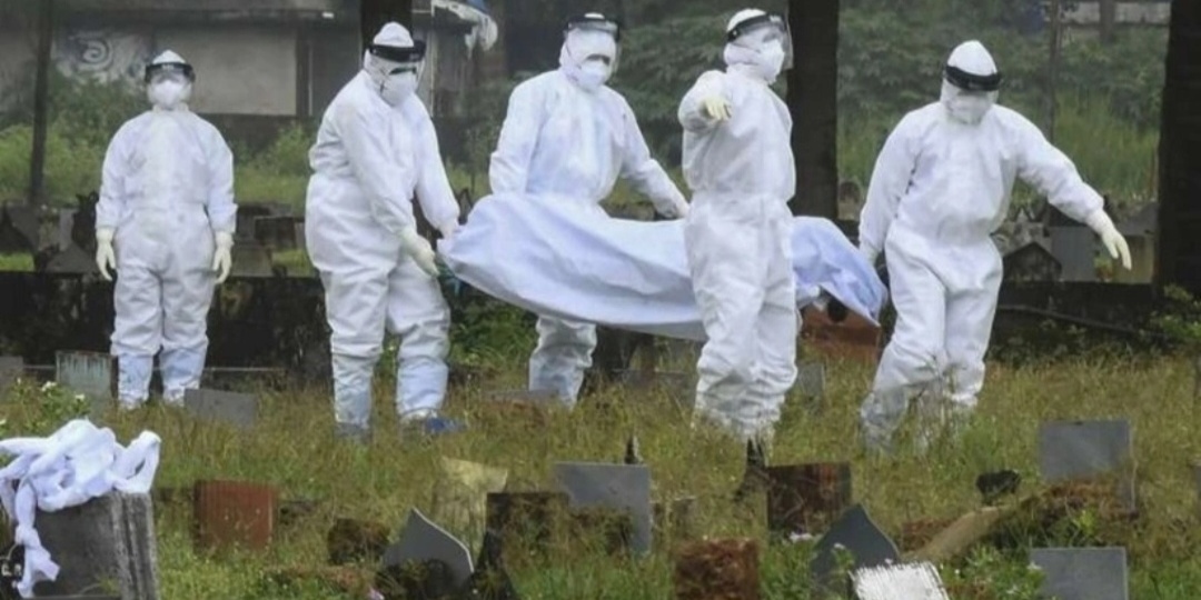 Смертельный вирус "Нибух" - выявлен в Индии-риск есть и для России.