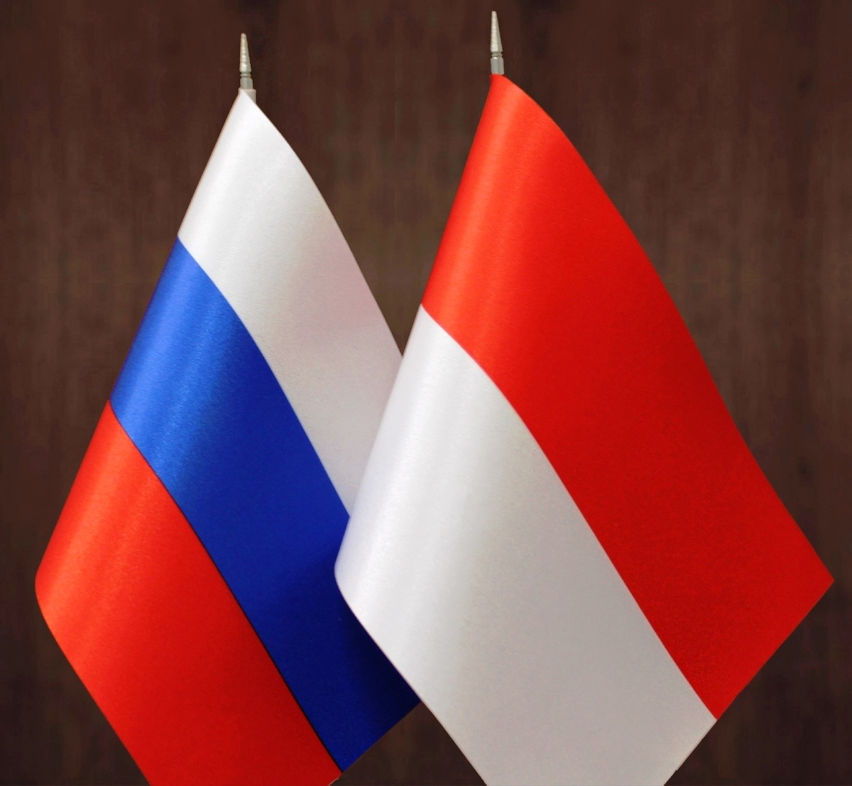 Двусторонние отношения и стратегическое партнерство между Индонезией и Россией 