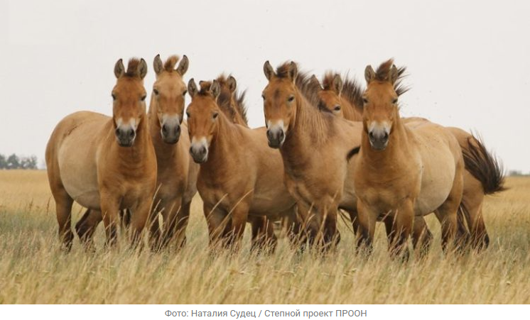 Источник новости: https://nia.eco/2026/01/23/111077/