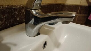    Егор Харитонов Юлия Виноградова