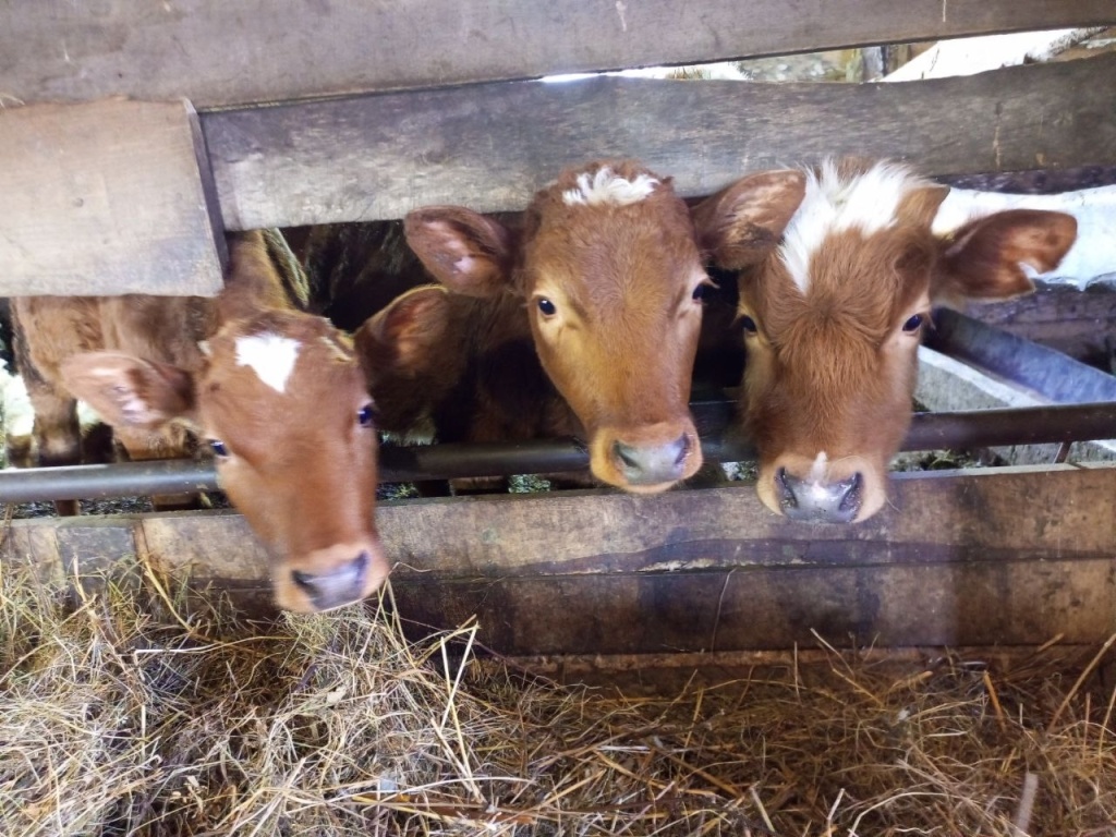    Фото Анны Сентяковой