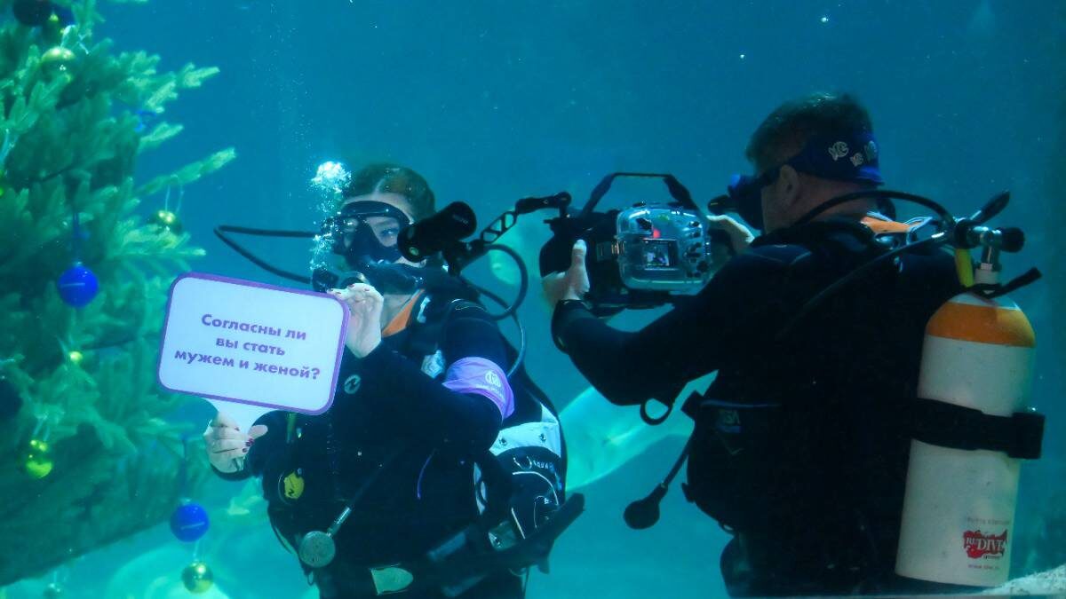   Подводные церемонии бракосочетания прошли в главном морском аквариуме «Москвариума» / Фото: Илья Питалев / РИА Новости